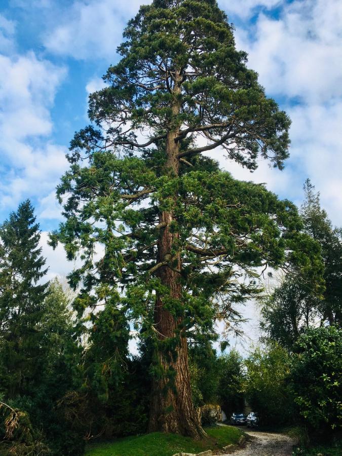 Gite Sequoia Centre Historique Bayeux Luaran gambar